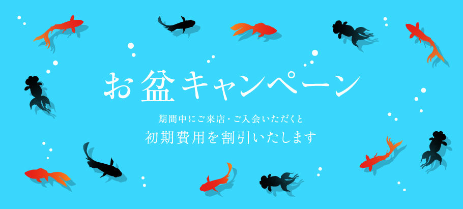 キャンペーン