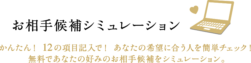 お相手候補シミュレーション かんたん！ 12の項目記入で！ あなたの希望に合う人を簡単チェック！無料であなたの好みのお相手候補をシミュレーション。